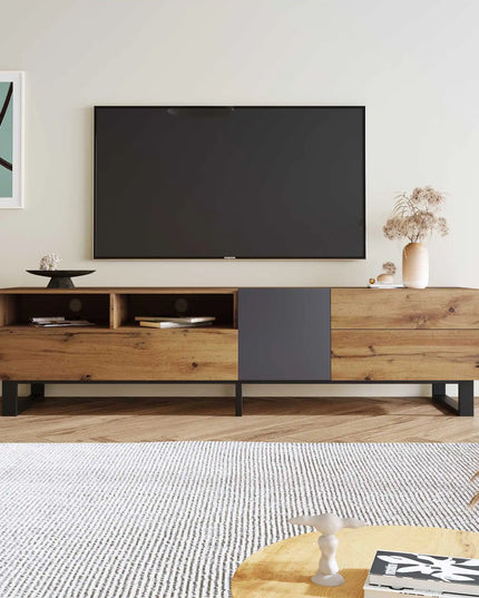 Big Modern TV stand for with double storage space