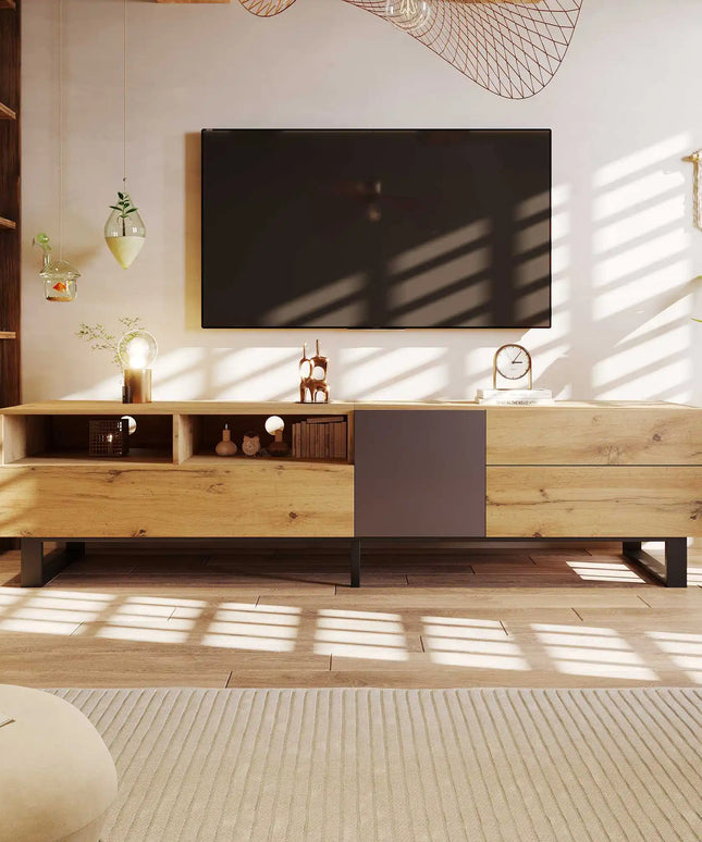 Big Modern TV stand for with double storage space